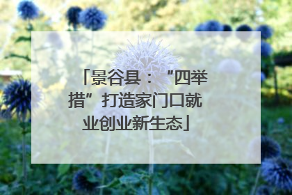 景谷县：“四举措”打造家门口就业创业新生态