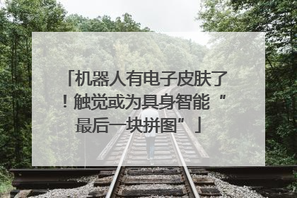 机器人有电子皮肤了！触觉或为具身智能“最后一块拼图”
