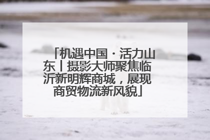 机遇中国・活力山东丨摄影大师聚焦临沂新明辉商城，展现商贸物流新风貌