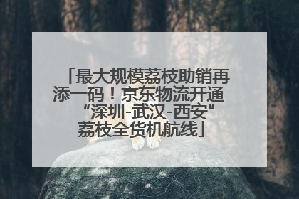 最大规模荔枝助销再添一码！京东物流开通“深圳-武汉-西安” 荔枝全货机航线