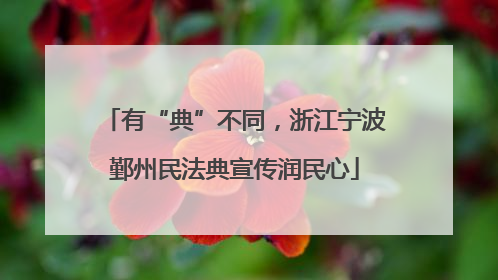 有“典”不同,浙江宁波鄞州民法典宣传润民心