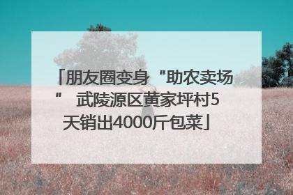 朋友圈变身“助农卖场” 武陵源区黄家坪村5天销出4000斤包菜