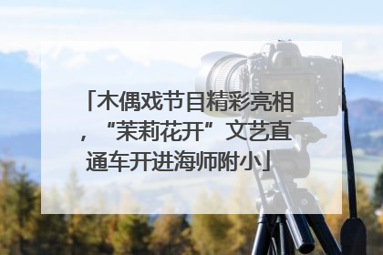 木偶戏节目精彩亮相，“茉莉花开”文艺直通车开进海师附小