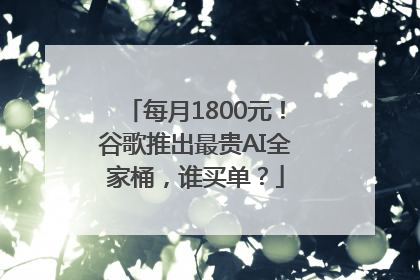 每月1800元！谷歌推出最贵AI全家桶，谁买单？
