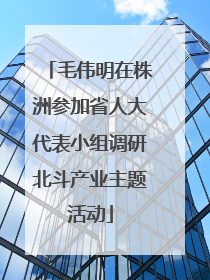 毛伟明在株洲参加省人大代表小组调研北斗产业主题活动