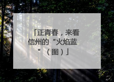 正青春，来看信州的“火焰蓝”（图）