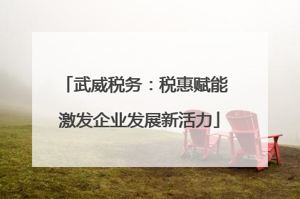 武威税务：税惠赋能 激发企业发展新活力