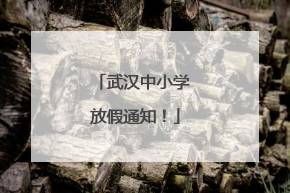 武汉中小学放假通知！