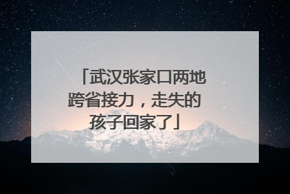 武汉张家口两地跨省接力，走失的孩子回家了