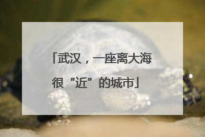 武汉，一座离大海很“近”的城市