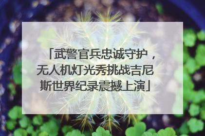 武警官兵忠诚守护，无人机灯光秀挑战吉尼斯世界纪录震撼上演