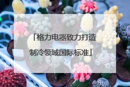格力电器致力打造制冷领域国际标准