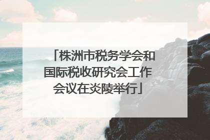 株洲市税务学会和国际税收研究会工作会议在炎陵举行