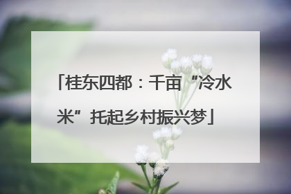 桂东四都：千亩“冷水米”托起乡村振兴梦