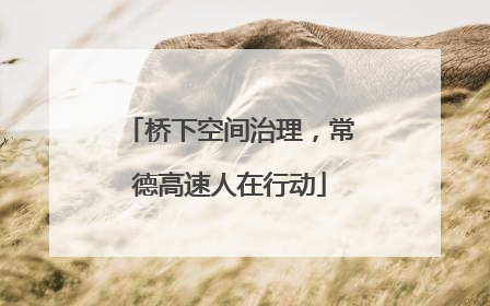 桥下空间治理，常德高速人在行动