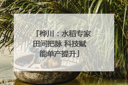 桦川：水稻专家田间把脉 科技赋能单产提升