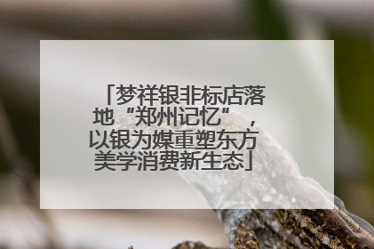 梦祥银非标店落地“郑州记忆”，以银为媒重塑东方美学消费新生态