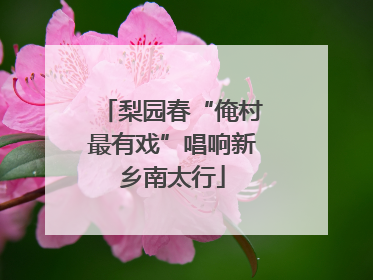 梨园春“俺村最有戏”唱响新乡南太行