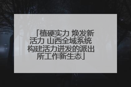 植硬实力 焕发新活力 山西全域系统构建活力迸发的派出所工作新生态