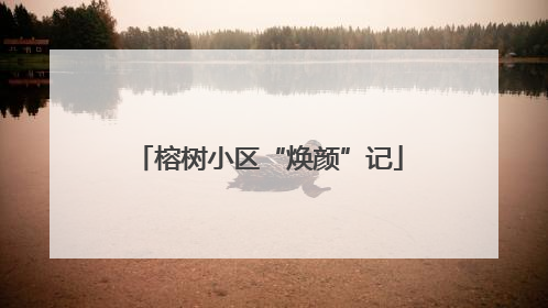 榕树小区“焕颜”记