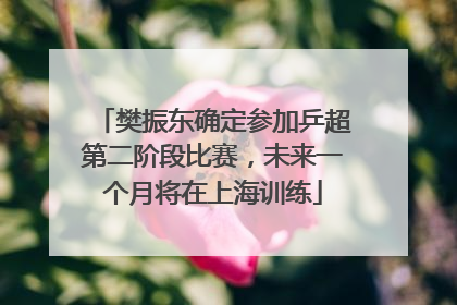 樊振东确定参加乒超第二阶段比赛，未来一个月将在上海训练