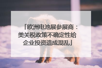 欧洲电池展参展商：美关税政策不确定性给企业投资造成混乱