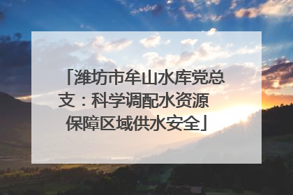 潍坊市牟山水库党总支：科学调配水资源 保障区域供水安全