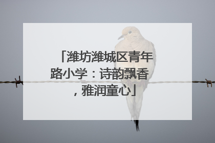 潍坊潍城区青年路小学：诗韵飘香，雅润童心