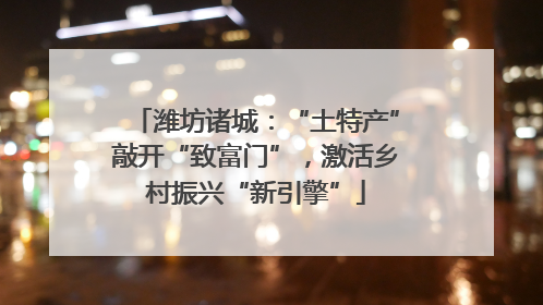 潍坊诸城：“土特产”敲开“致富门”，激活乡村振兴“新引擎”