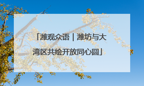 潍观众语｜潍坊与大湾区共绘开放同心圆