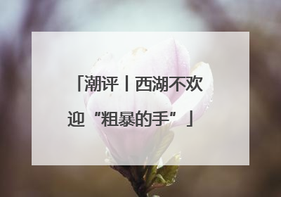 潮评丨西湖不欢迎“粗暴的手”