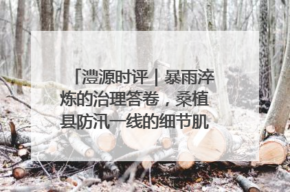 澧源时评｜暴雨淬炼的治理答卷，桑植县防汛一线的细节肌理与体系力量