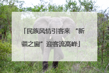 民族风情引客来 “新疆之窗”迎客流高峰