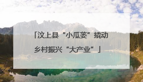 汶上县“小瓜蒌”撬动乡村振兴“大产业”