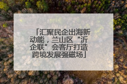 汇聚民企出海新动能，兰山区“沂企联”会客厅打造跨境发展强磁场