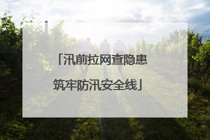 汛前拉网查隐患 筑牢防汛安全线
