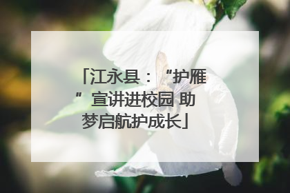 江永县：“护雁”宣讲进校园 助梦启航护成长