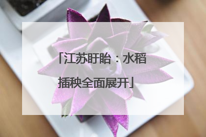 江苏盱眙：水稻插秧全面展开