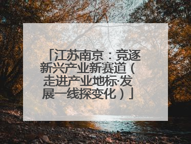 江苏南京：竞逐新兴产业新赛道（走进产业地标·发展一线探变化）