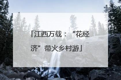 江西万载：“花经济”带火乡村游