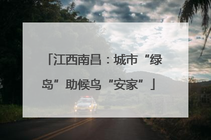 江西南昌：城市“绿岛”助候鸟“安家”