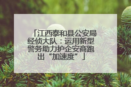 江西泰和县公安局经侦大队：运用新型警务助力护企安商跑出“加速度”