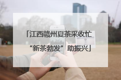 江西赣州夏茶采收忙 “新茶勃发”助振兴