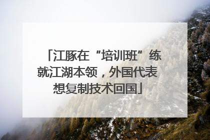 江豚在“培训班”练就江湖本领，外国代表想复制技术回国