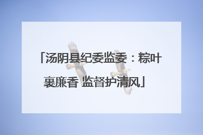 汤阴县纪委监委：粽叶裹廉香 监督护清风