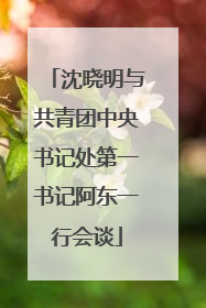 沈晓明与共青团中央书记处第一书记阿东一行会谈