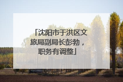 沈阳市于洪区文旅局副局长彭勃，职务有调整