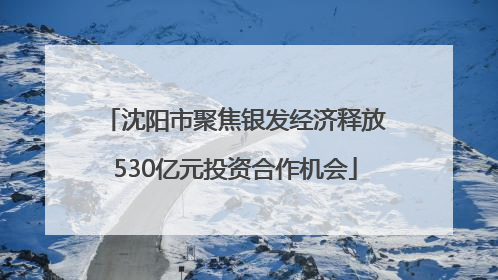 沈阳市聚焦银发经济释放530亿元投资合作机会