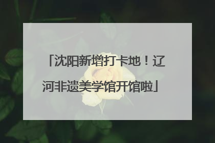 沈阳新增打卡地！辽河非遗美学馆开馆啦