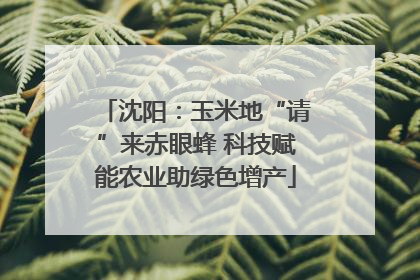 沈阳：玉米地“请”来赤眼蜂 科技赋能农业助绿色增产